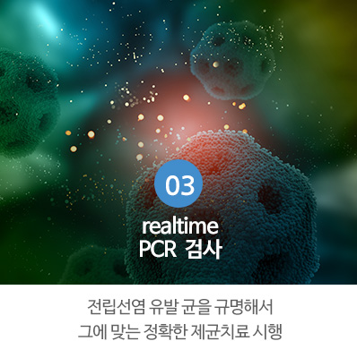 realtime PCR  검사